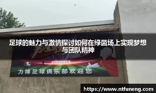 足球的魅力与激情探讨如何在绿茵场上实现梦想与团队精神